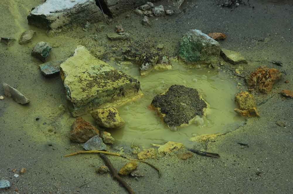 53 - Nueva Zelanda - Rotorua, Wai-o-tapu, la sarten plana